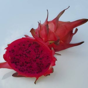 Buah Naga Merah