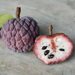 Buah Nona Merah
