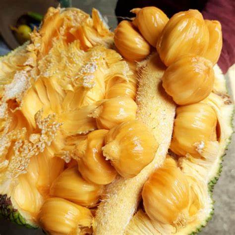 Cempedak