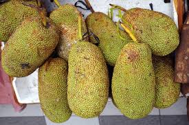 Cempedak