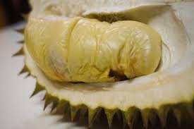 Durian