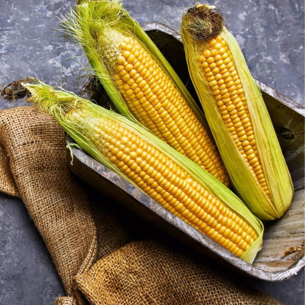 Jagung Hawai