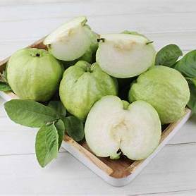 Jambu Kristal