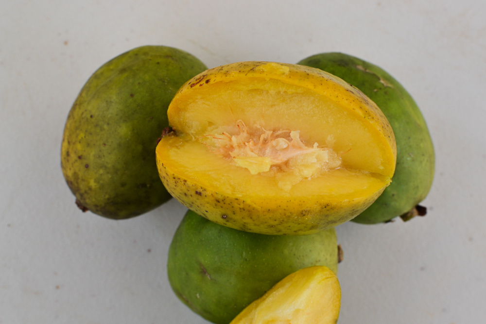 Kedondong