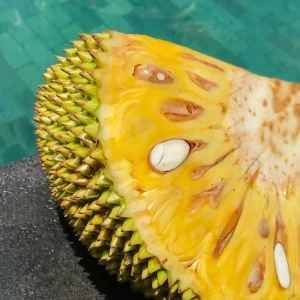 Nangka